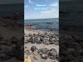 Собачий пляж.Вода теплая#odessa#ukraine#beach#одесса#travel#море#отдыхвукраине#