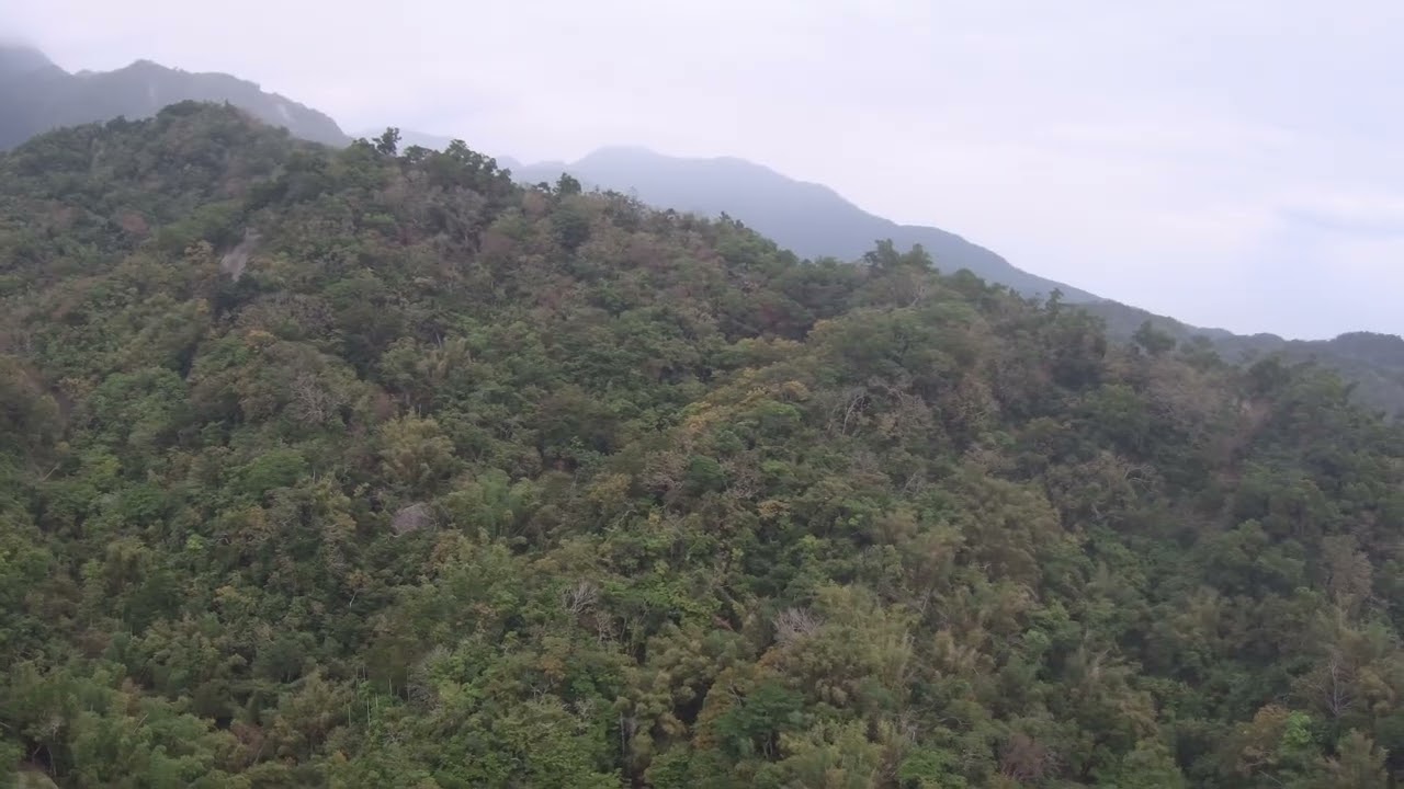 1150110橘子山第二起飛點4