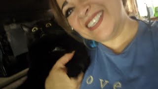 فلوغ زيارة قطتي للطبيب  اخدت المطعوم وعملت الفحص الدوري . I took my cat to the vet (VLOG)