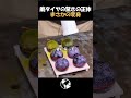 【衝撃】廃タイヤの驚きの変身!まさかアレになるとは