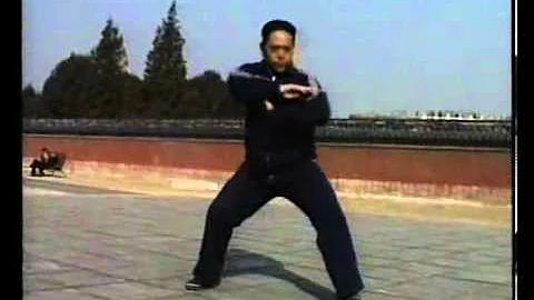 Feng Zhi Qiang Chen Taiji