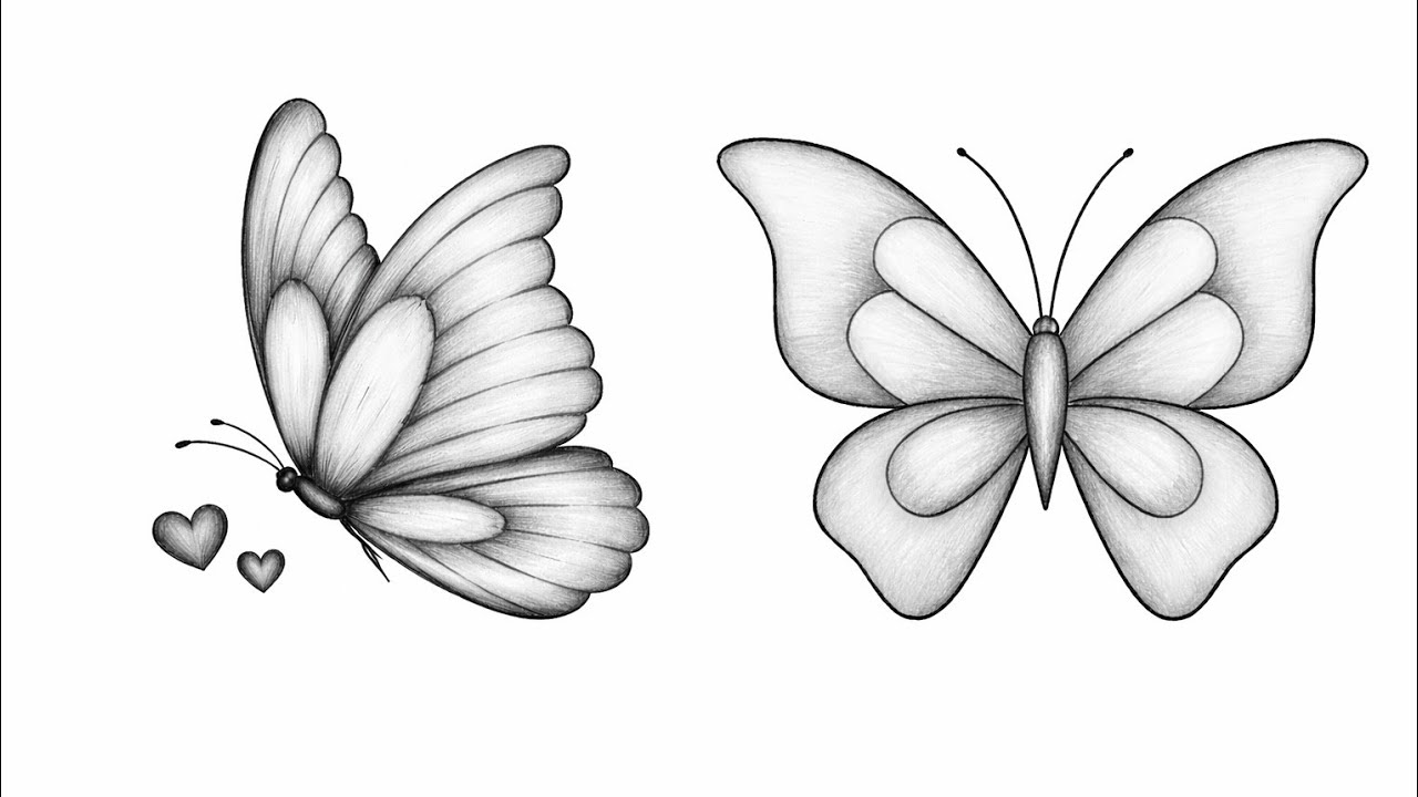  Beautiful Butterfly Drawing| Step by Step | Easy Butterfly Art 