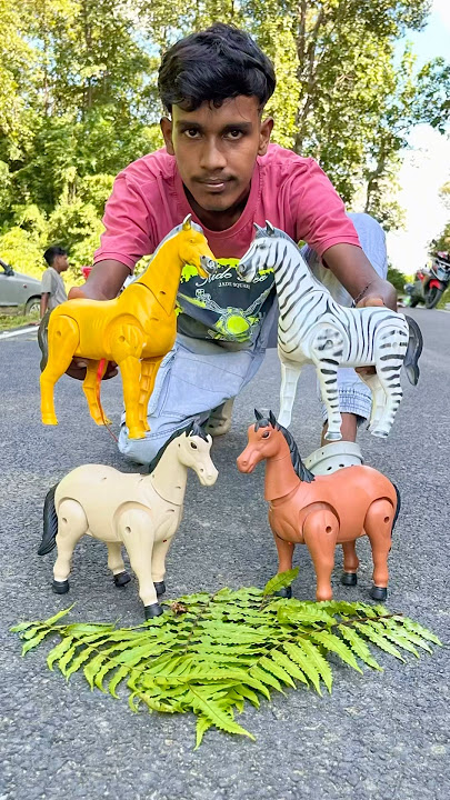 Remote Control 4 Ta Horse 🐴 And Zebra Unboxing Dako 😱😭 #animals