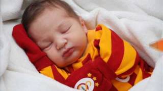 Yavru Aslan Mertcan438