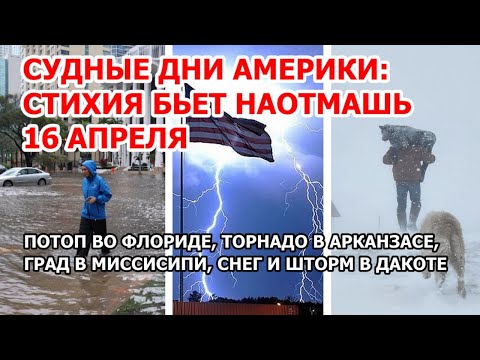 Видео: В Арканзасе холодно?