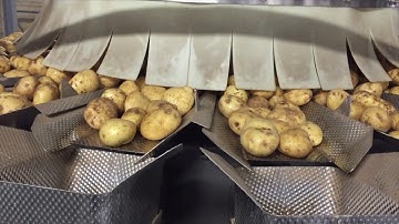 Food Automation presents MultiWeigh 18 head multihead weigher + Inno Tech VFFS machine packing potat