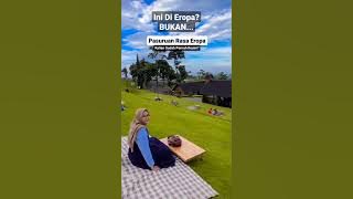 INI DI EROPA?....BUKAN, INI DI PASURUAN #wisataviral #wisatajatim #wisatapasuruan