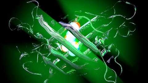 Green Fluorescent Protein (GFP) from Aequorea victoria