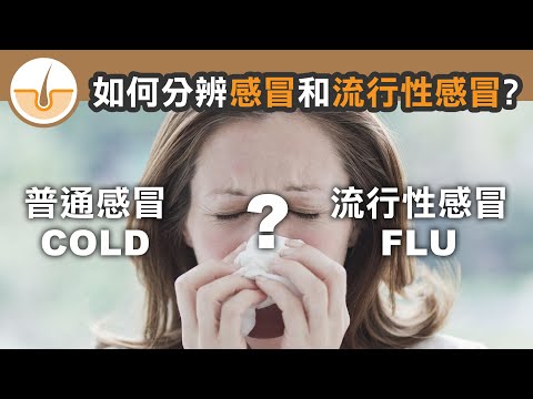 如何分辨感冒和流行性感冒?? (繁體中文字幕)