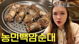 한국에서 순대와 국밥을 질리도록 먹는데도 매번 놀라는 이유