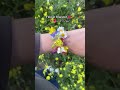 ١١ أبريل ٢٠٢٦
