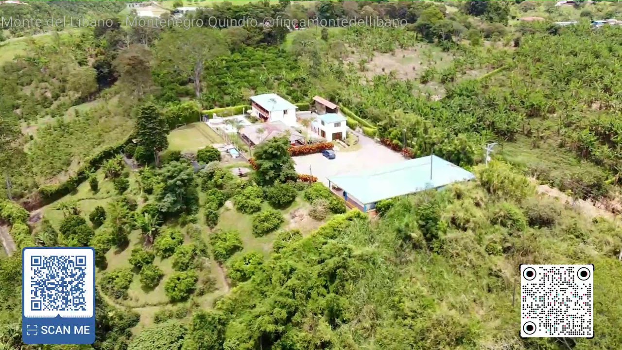 #destinos #citytv desde Finca Monte del Libano #quindio #colombia