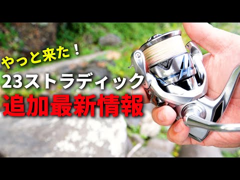 【最終値下げ】19 STRADIC 2500S HG 最終値下げ】19 STRADIC 2500S HG