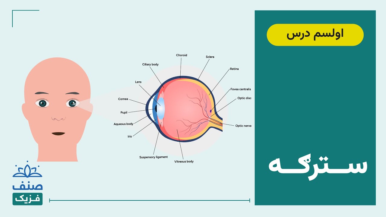 صنف - لسم صنف فزیک - 17 درس: سترګه