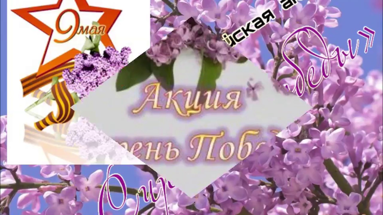 Сирень в день победы Сирень в день победы