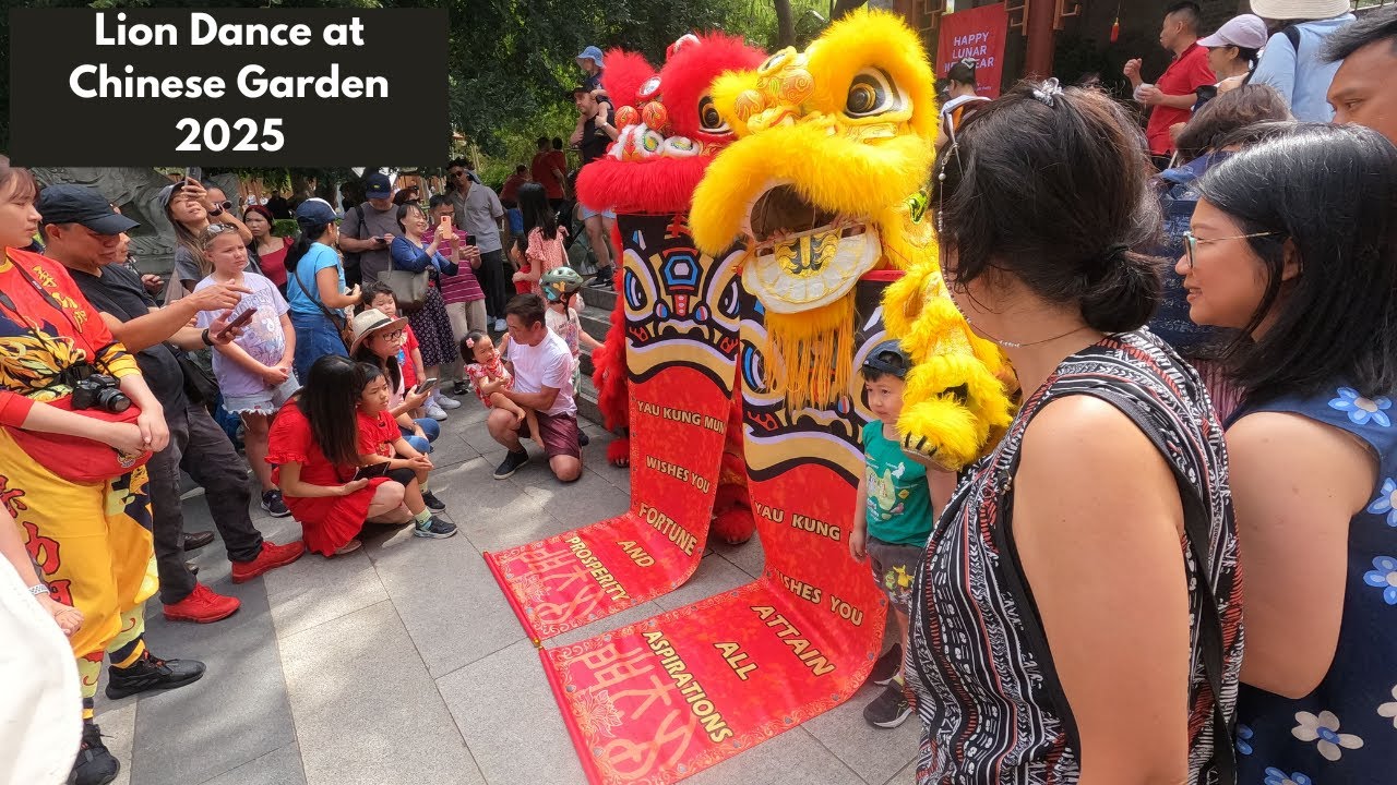 Lion Dance at the Chinese Garden Frontcourt - 2025