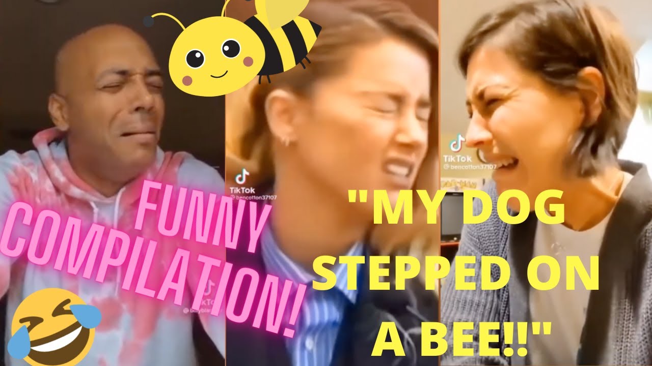 My Dog Stepped On A Bee Amber Heard 🐶🐝 Ultimate TikTok Compilation 