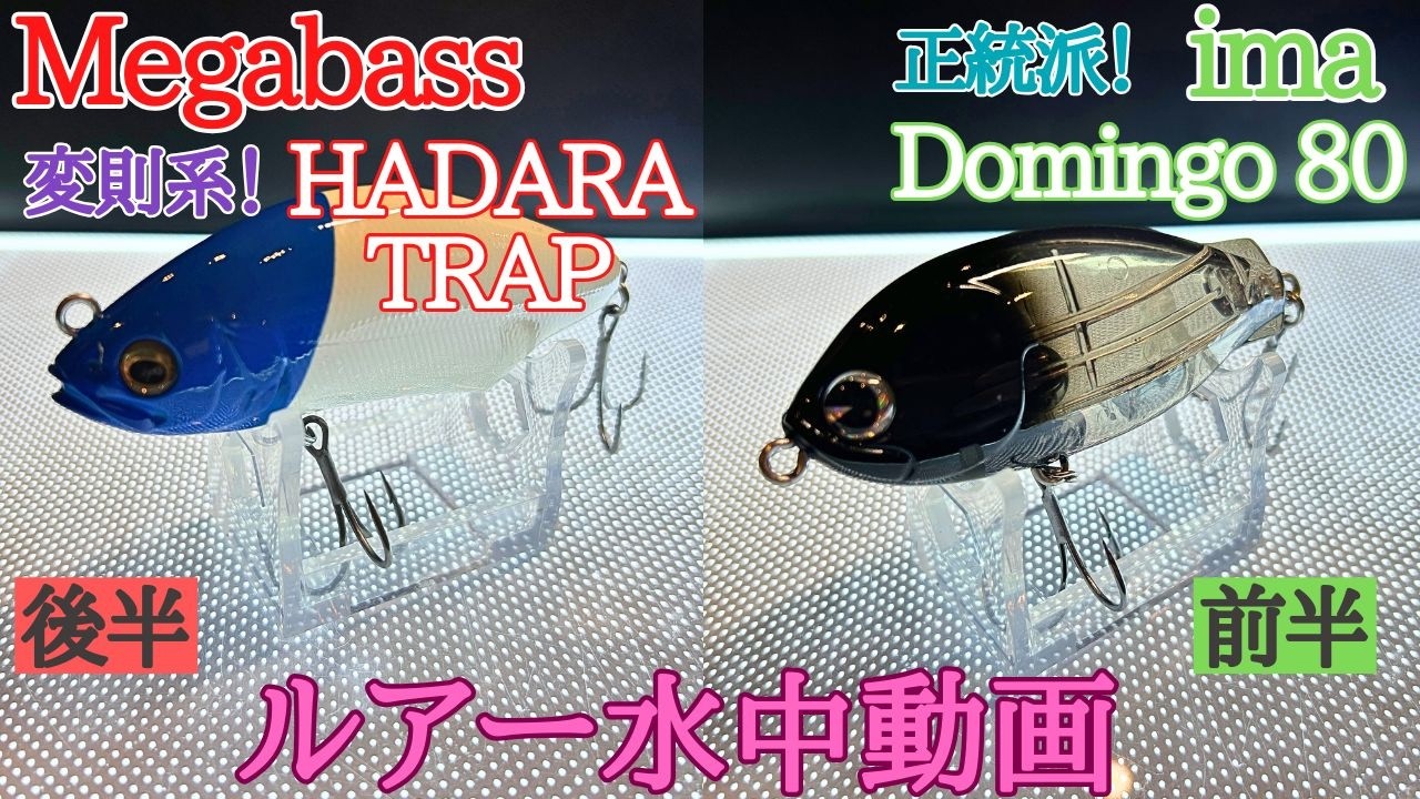 【ドミンゴ / ハダラトラップ】水中映像　「ima Domingo 80 / Megabass HADARA TRAP」　（アイマ ドミンゴ / メガバス ハダラトラップ）ルアー水中動画紹介