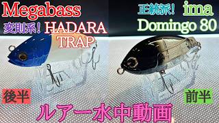 【ドミンゴ / ハダラトラップ】水中映像 「ima Domingo 80 / Megabass HADARA TRAP」 (アイマ ドミンゴ / メガバス ハダラトラップ)ルアー水中動画紹介
