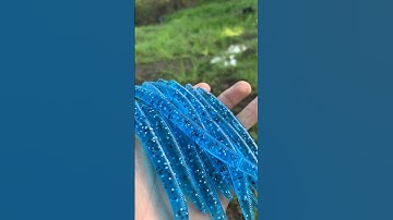 Making Baits at Home!💙#baitmaking #godfirst #bassfishing #marrking #lures #luremaking #creative