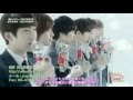 Boyfriend Hitomi No Melody Full PV