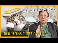 貓曾經是被人膜拜的神！？歷史上的君主為何會怕貓？〈蕭若元：書房閒話〉2021-03-22