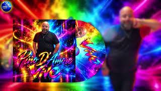PINO D'AMORE (VIVO)