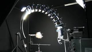 Video of our DIY 3D root scanner