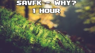 Savfk - Why? - [1 Hour] [No Copyright Electronic Soundtrack Music]