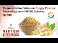 Demonstration Video on Ginger Powder Processing (under PMFME Scheme) - HINDI