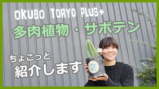 【#46】うちにある多肉植物・サボテンの一部を紹介します。ごくごく普通の多肉やサボテンしかないので、期待せずにご覧くださいｗ　最後までご覧いただくと私の年齢がわかるかも？！ｗ