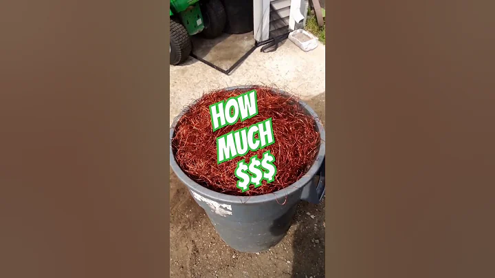 How Much $$$ Fer 44 Gallon Trash Bucket Of Copper? #scrap #scrapmetal #scrapmetalrecycling #shorts