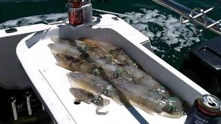 Squid 7 Million Dollar Bill