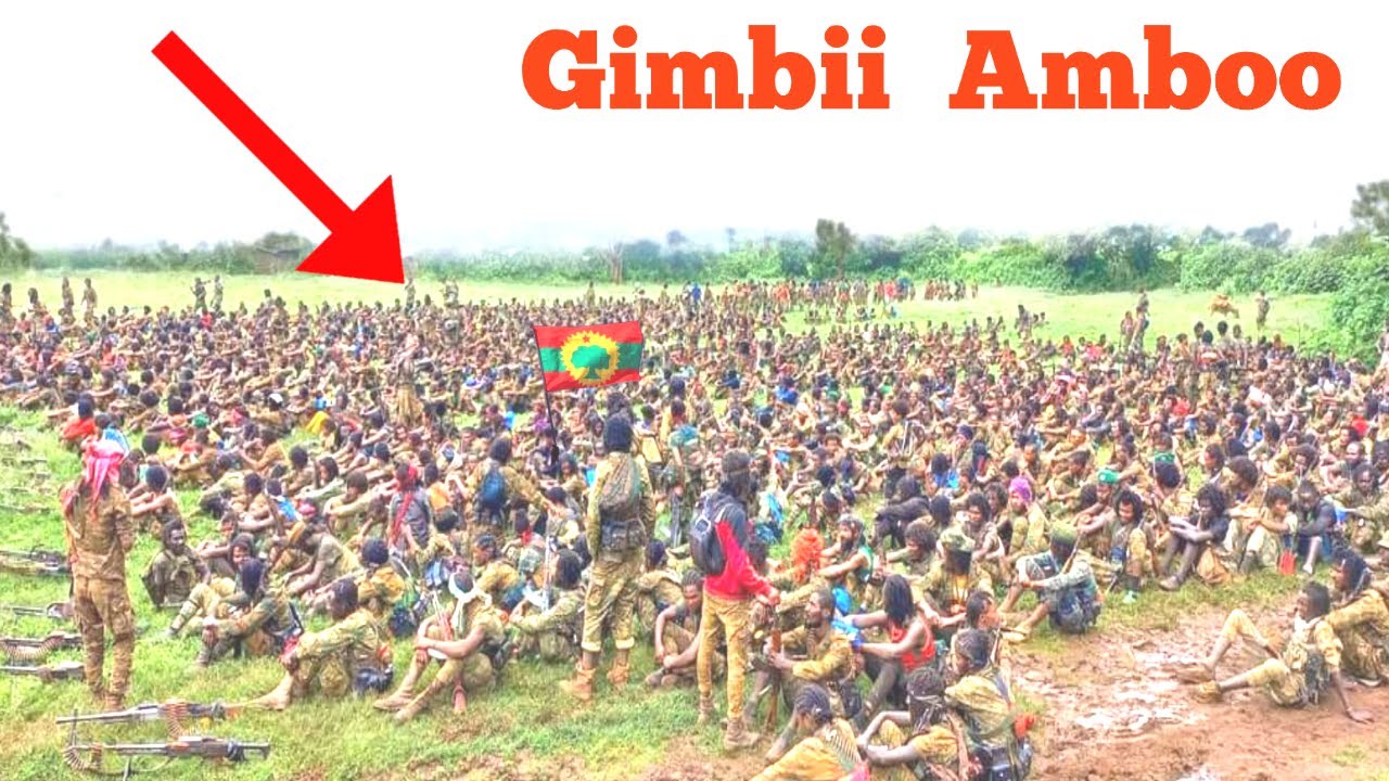 Oduu Ammee Ijfannoo Gotichaa Oromia Wbo Kuno Youtube