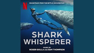 Download Lagu A Big Shark Download Lagu A Big Shark