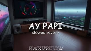 AY PAPI | PERFECTLY SLOWED + BASS | #blacklyricloom