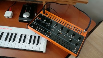 Behringer CRAVE present: Analog Cadence | Superteclados.com