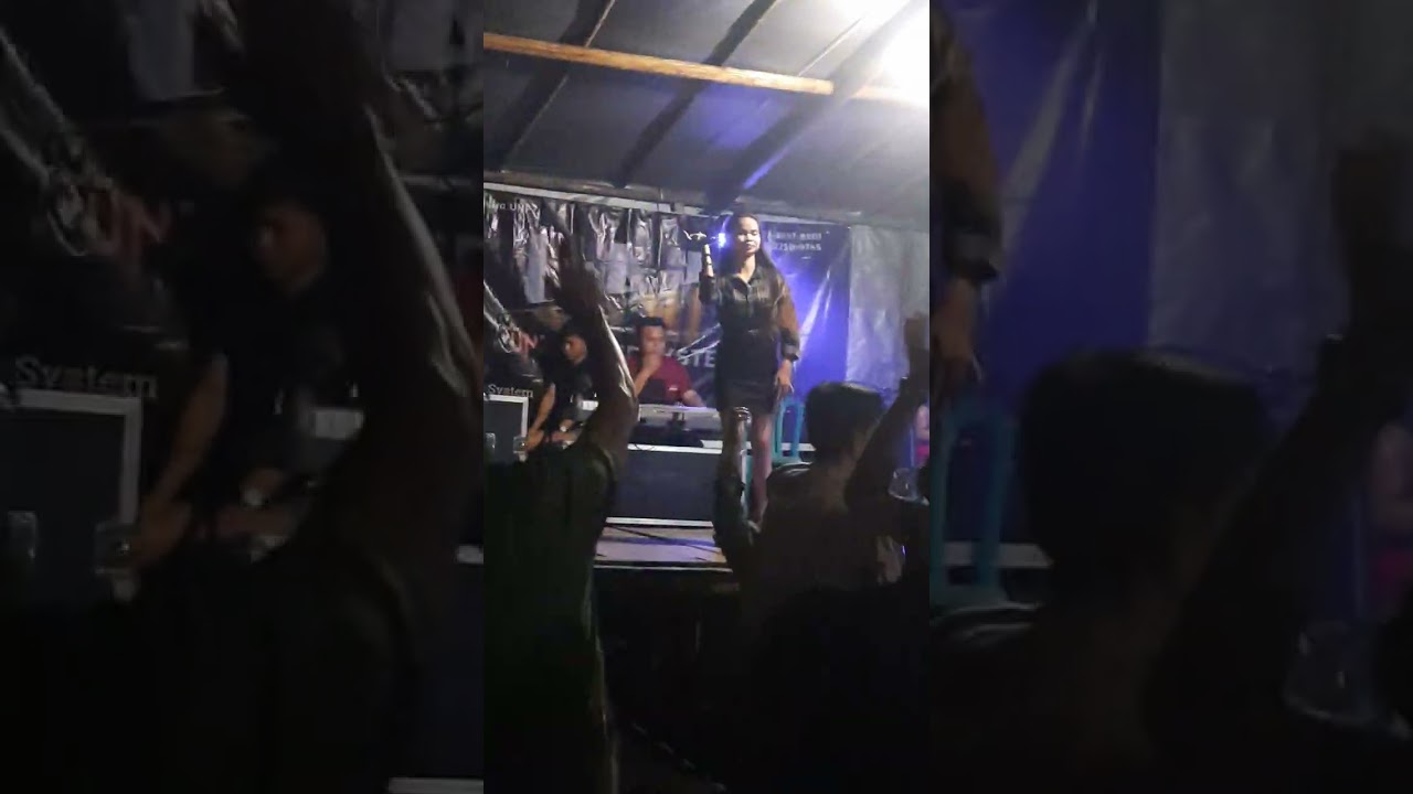cover Dasar kau bandit voc cinta ll di desa dandang rgl 10 juli 2024
