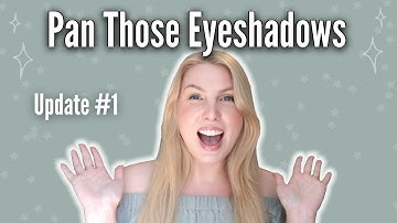 I Finally Hit Pan! | Pan Those Eyeshadows Update #1
