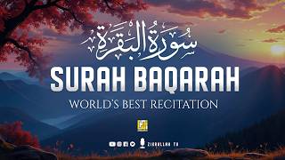 Surah Baqarah Full سورة البقره | Ultimate Relaxing Most Beautiful Heart Calming Quran | Zikrullah TV
