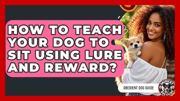 How To Teach Your Dog To Sit Using Lure And Reward? - Obedient Dog Guide