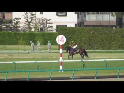 2017 第77回 皐月賞(ＧＩ) ウィニングラン 現地映像 アルアイン