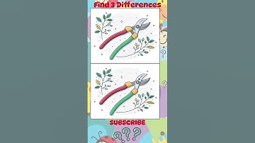 Can You Find the 3 Differences? #166
