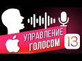 Как управлять голосом на iPhone в iOS 13? Управляем голосом БЕЗ ИНТЕРНЕТА и SIRI