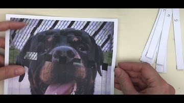 How To Create A Woven Photograph Design