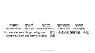 Proverbs 5: Hebrew interlinear audio Bible 希伯來文聖經:箴言五章 Net Worth