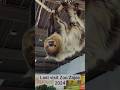 Zoo Zajac 2024