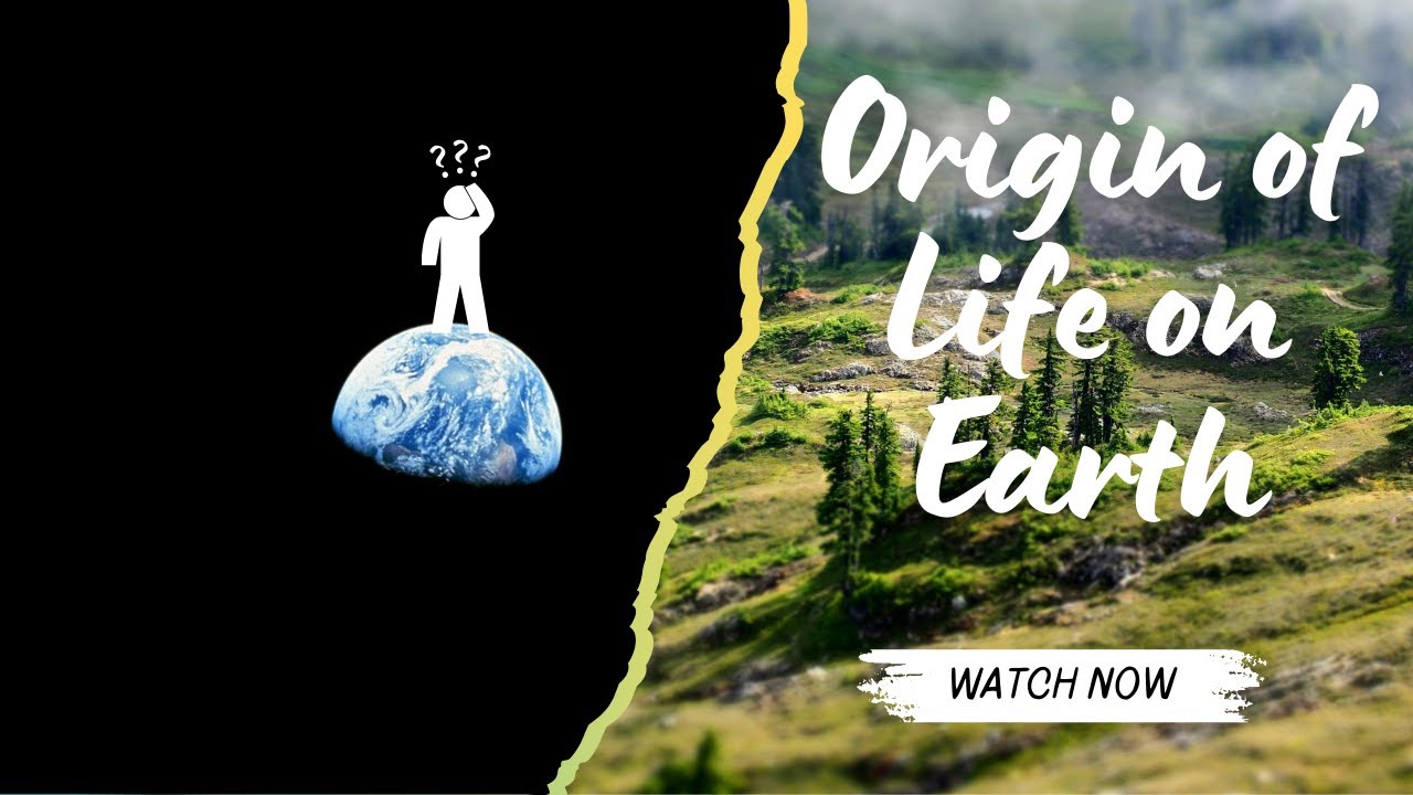 Origin of life on earth ! - YouTube