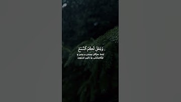 #ادريس_ابكر #سورة_النحل وَٱللَّهُ أَخۡرَجَكُم مِّنۢ بُطُونِ أُمَّهَٰتِكُمۡ