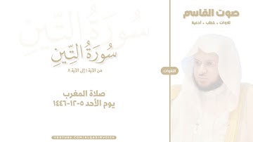 التلاوات | سورة التين ١-٨ ، صلاة المغرب ٥-١٢-١٤٤٦